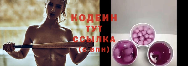 мет Иннополис