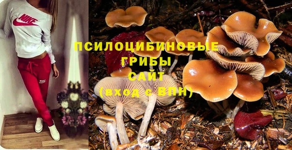 стафф Инта