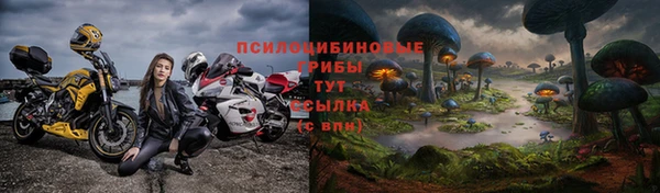 стафф Инта