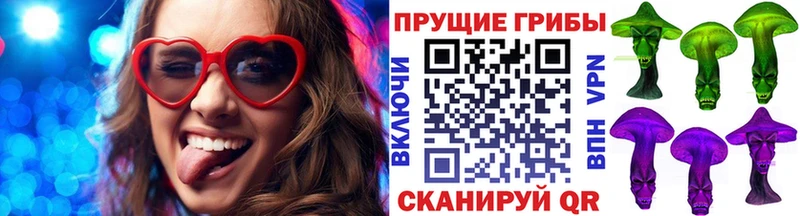 Купить  Всеволожск  Псилоцибиновые грибы Psilocybine cubensis 